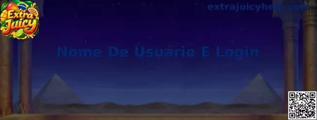 Nome de Usuário e Login